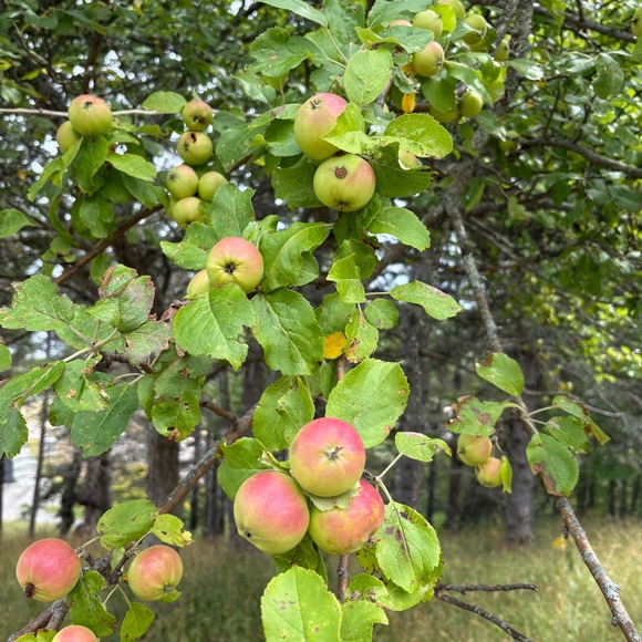 Natasha is LIVE!! OCTOBER 30, 2025 N 73 - Picture 3 of 13